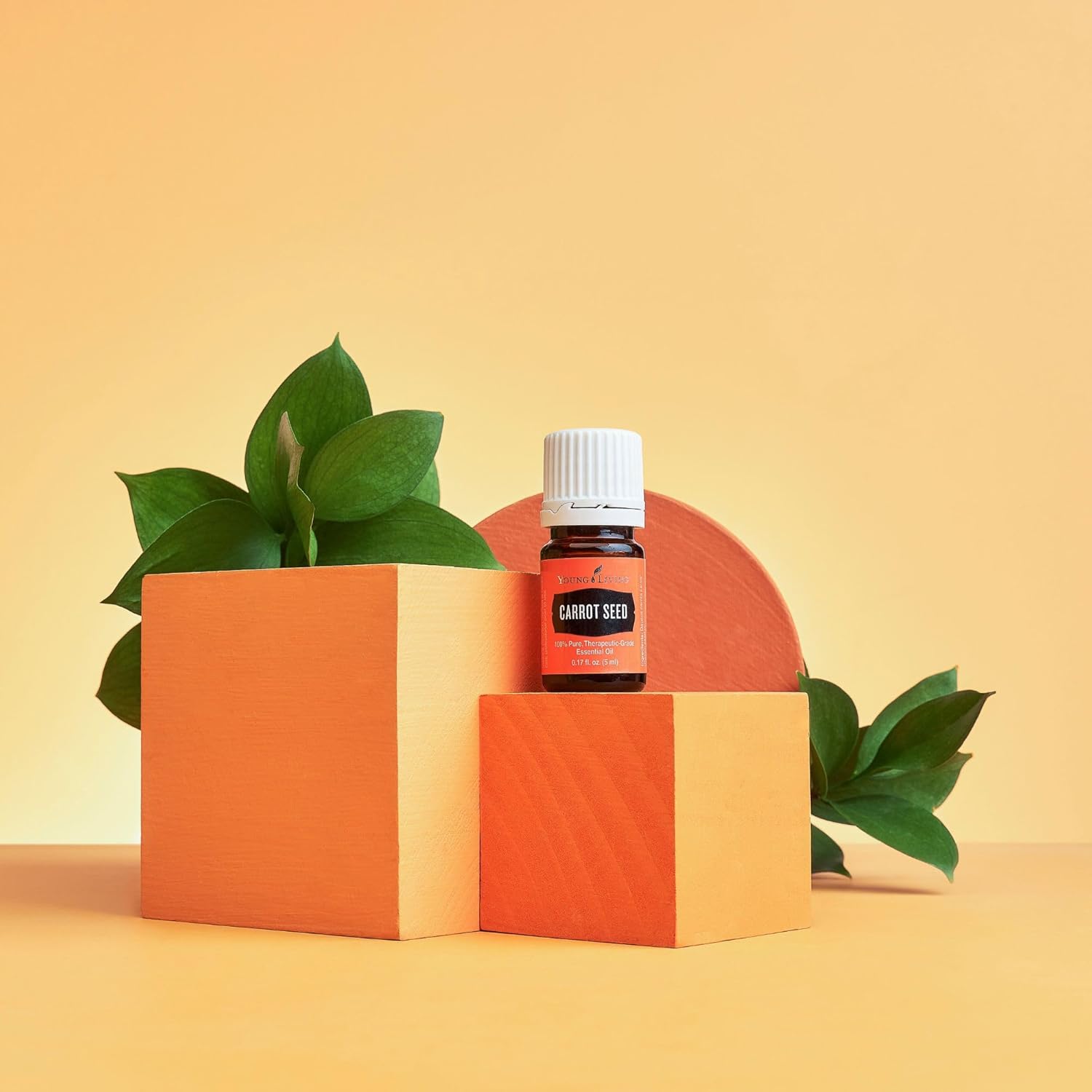 Young Living - Carrot Seed Essential Oil 5 ml | Ideal for Dry Skin Moisturizer, Beautifying, & Skin Cleansing Properties | Natural Skincare | Aromatherapy Diffuser