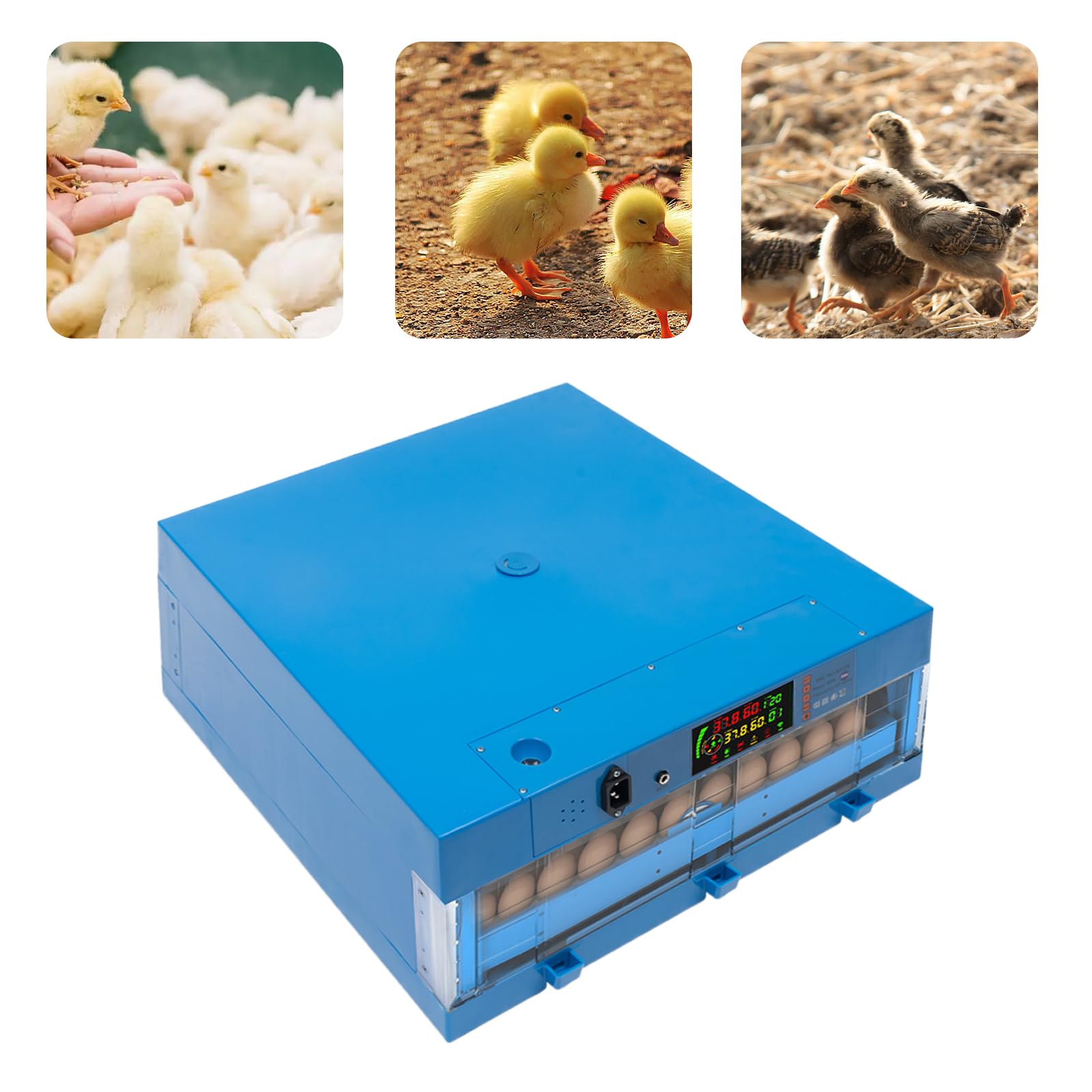 Incubadora totalmente automática para 64 huevos, incubadora de huevos con capacidad para 64 huevos, 360° ventilación digital, cuenta regresiva para gallinas/patos/gansos, azul, criador