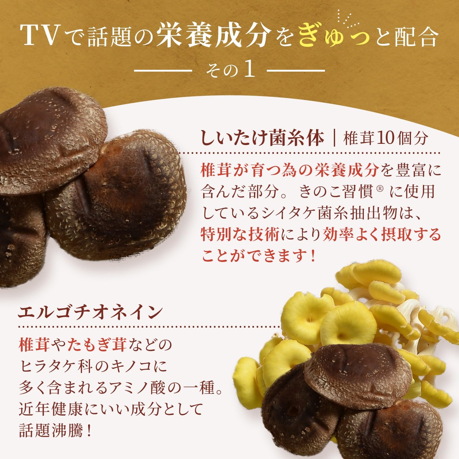 Amazon | テレビやメディアで特集され話題沸騰！ 注目のスーパーキノコ
