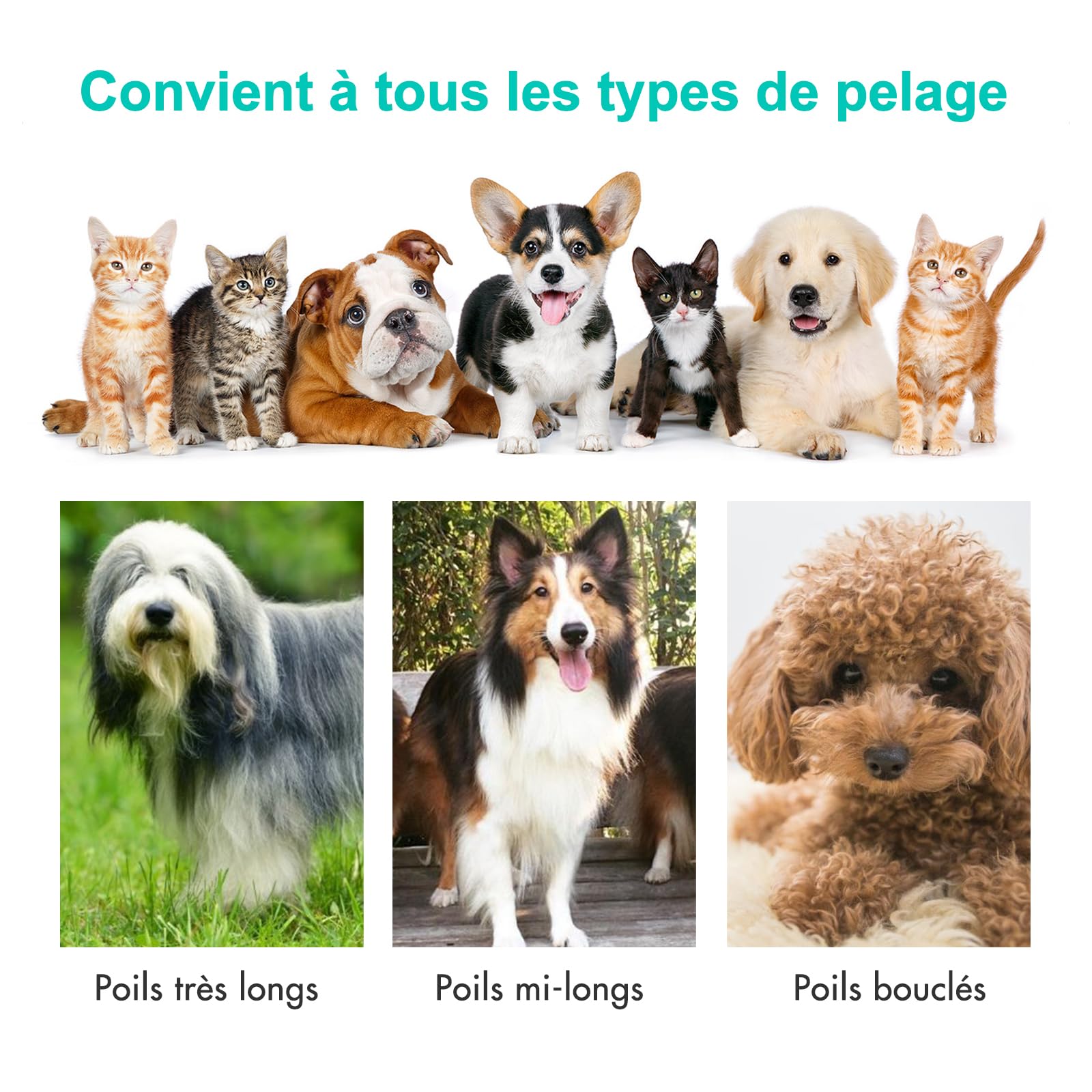 Neakasa P1 Pro Brosse Chat, Brosse Chien, Tondeuse professionnelle pour chats et chiens, Aspirateur de poils 13000 Pa, Silencieuse 52 dB, 5 Outils de toilettage pour poils courts, longs et épais