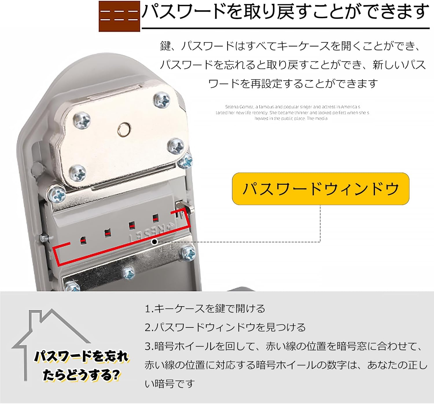 キーボックス ダイヤル式 4桁暗証番号 壁掛け 小型 大容量 南京錠タイプ 屋外用