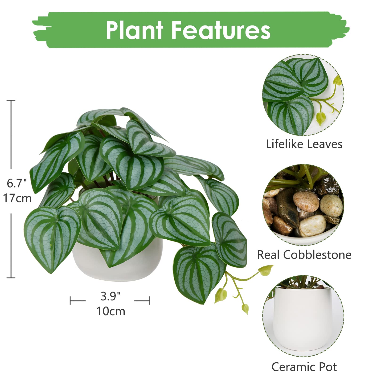 Oairse Small Artificial Plants in Ceramic Pots Decorative Fake Potted Plants Faux Watermelon Peperomia Realistic Greenery House Plant Indoor for Aesthetic Home Office Kitchen Bathroom Desk Décor - Image 2