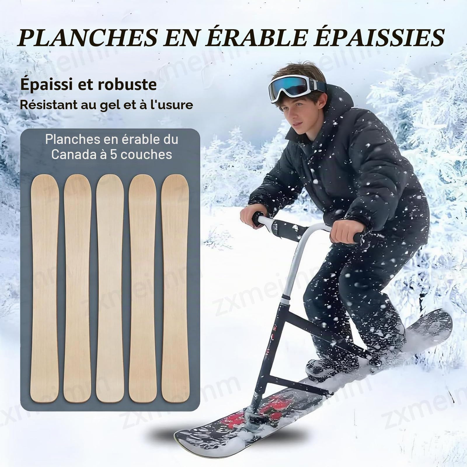 Snowscoot Tout-Terrain Adulte - Plateau Érable 5 Plis, Lames Doubles - Luge Hiver pour Pentes Damées et Jardin