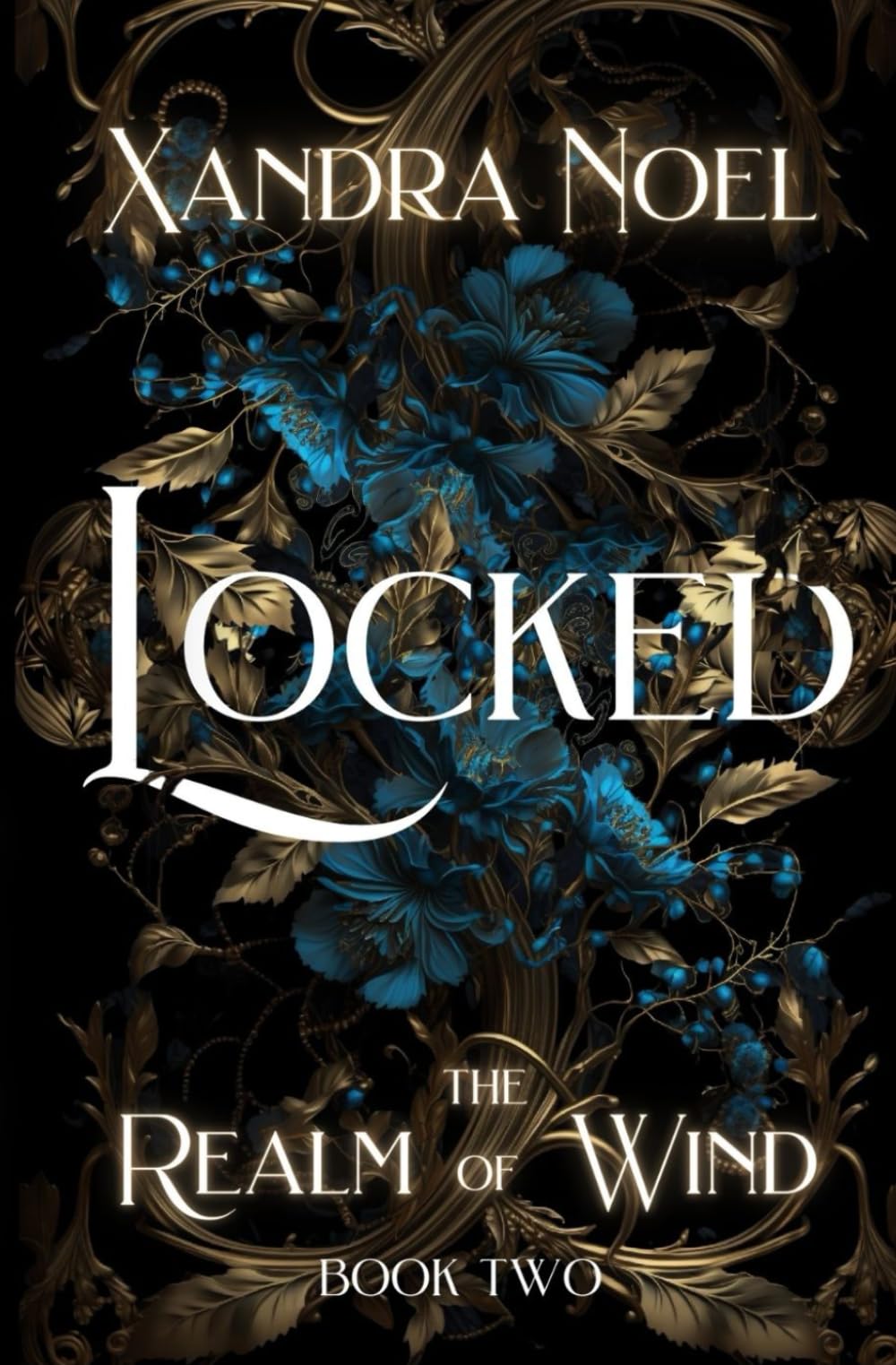 Locked: The Realm of Wind book 2: dark fantasy romance