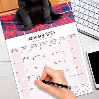 レトリバー Southern Attitude Life is Better with Dogs Women's T-Shirt