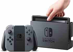 Nintendo Switch - Grey Joy-Con : Amazon.com.au: Video Games