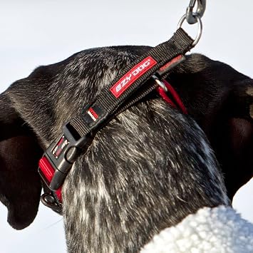 EzyDog Checkmate Martingale Collar for Dogs Premium Nylon Training Dog Collar for Easy Control with no Choking (Small, Black)