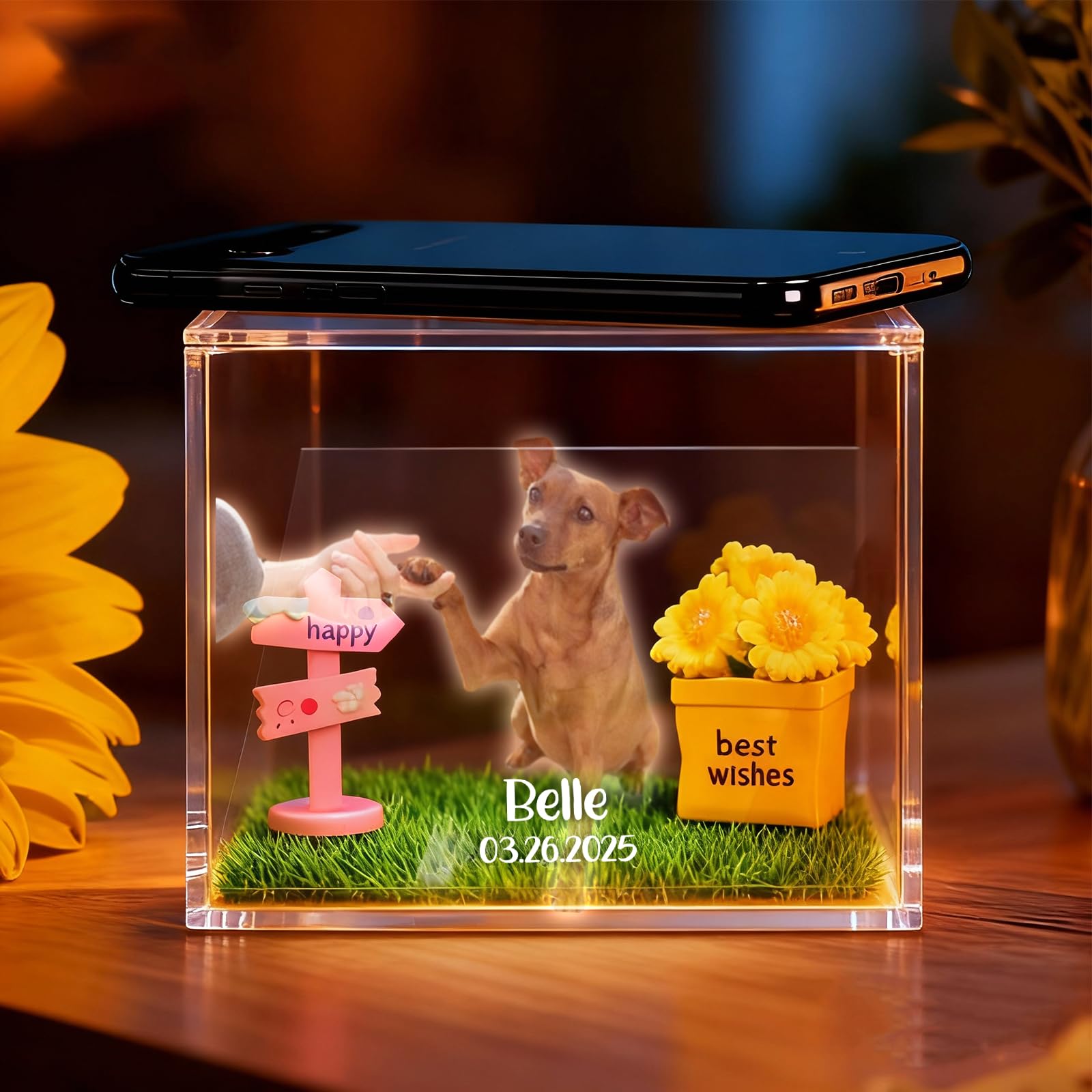 Scatola Commemorativa Olografica Personalizzata per Animali Domestici – Cornice in Resina con Foto e Incisione – Regalo Speciale per Ricordare il Tuo Animale, Perfetto per Amici, Familiari