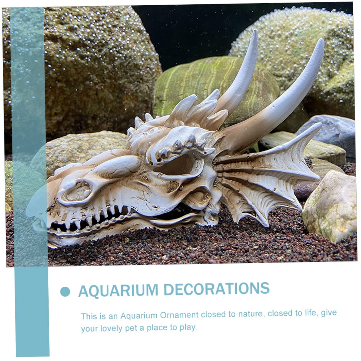 BESPORTBLE Décoration De Crâne De Dinosaure Résine pour Aquarium Accessoire De Paysage Naturel pour Réservoir Eau Et Terrarium Décoratif Et Durable pour Poissons Et Reptiles