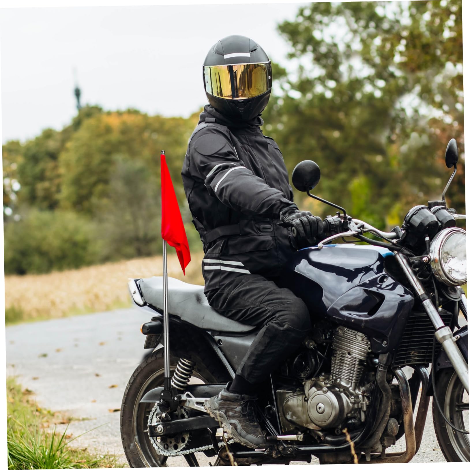 Amosfun 2 Series Asta De Bandera del Vehículo Bandera De Motocicleta Asta De Bandera Extensible Asta De Bandera De Montaje En Bicicleta Asta De Bandera De Seguridad del Manillar 2 Piezas*2