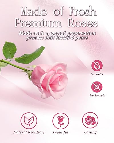 Miniatura 4 de HVY Regalos de flores preservadas para ella, ramo de rosas preservadas en cúpula de cristal, regalos de rosas iluminadas perfectas para el día de la