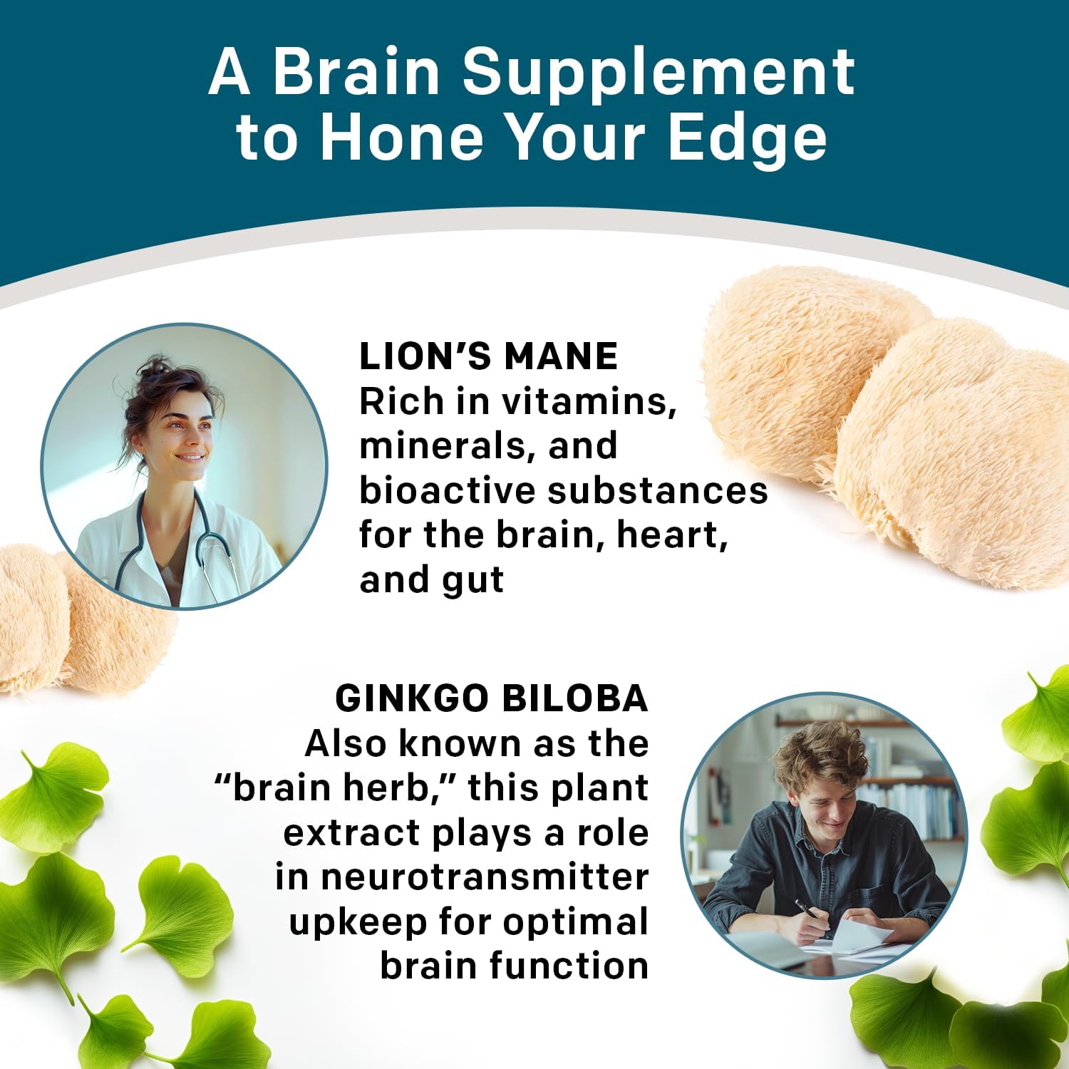 14-in-1 Lions Mane Supplement Capsules - Nootropic Brain Supplement with Ginkgo Biloba for Brain Support, Memory and Focus - Alpha GPC, L Theanine and Choline Supplements with 1300mg Per Serving - 2pk