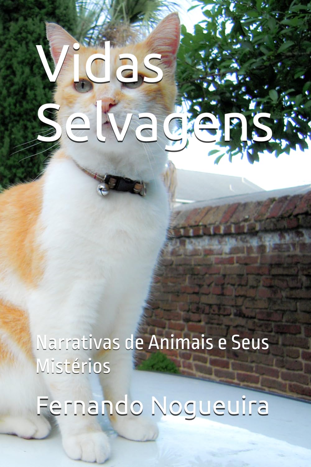 Vidas Selvagens: Narrativas de Animais e Seus Mistérios