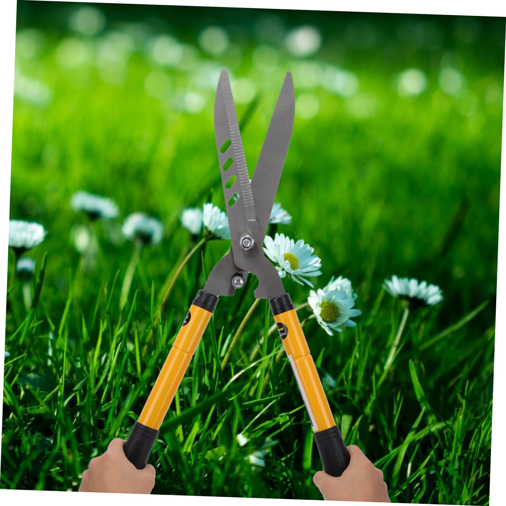 Gartenschere 1 Stück aus Stahl und Kunststoff für Obstgarten und Hecken | Tragbar und Leicht, Ergonomische Ausführung, Manuelles Schneidwerkzeug für Gartenarbeit