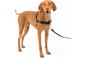 PetSafe Easy Walk Dog Harness: Bridle Your Dog's Pulling Power