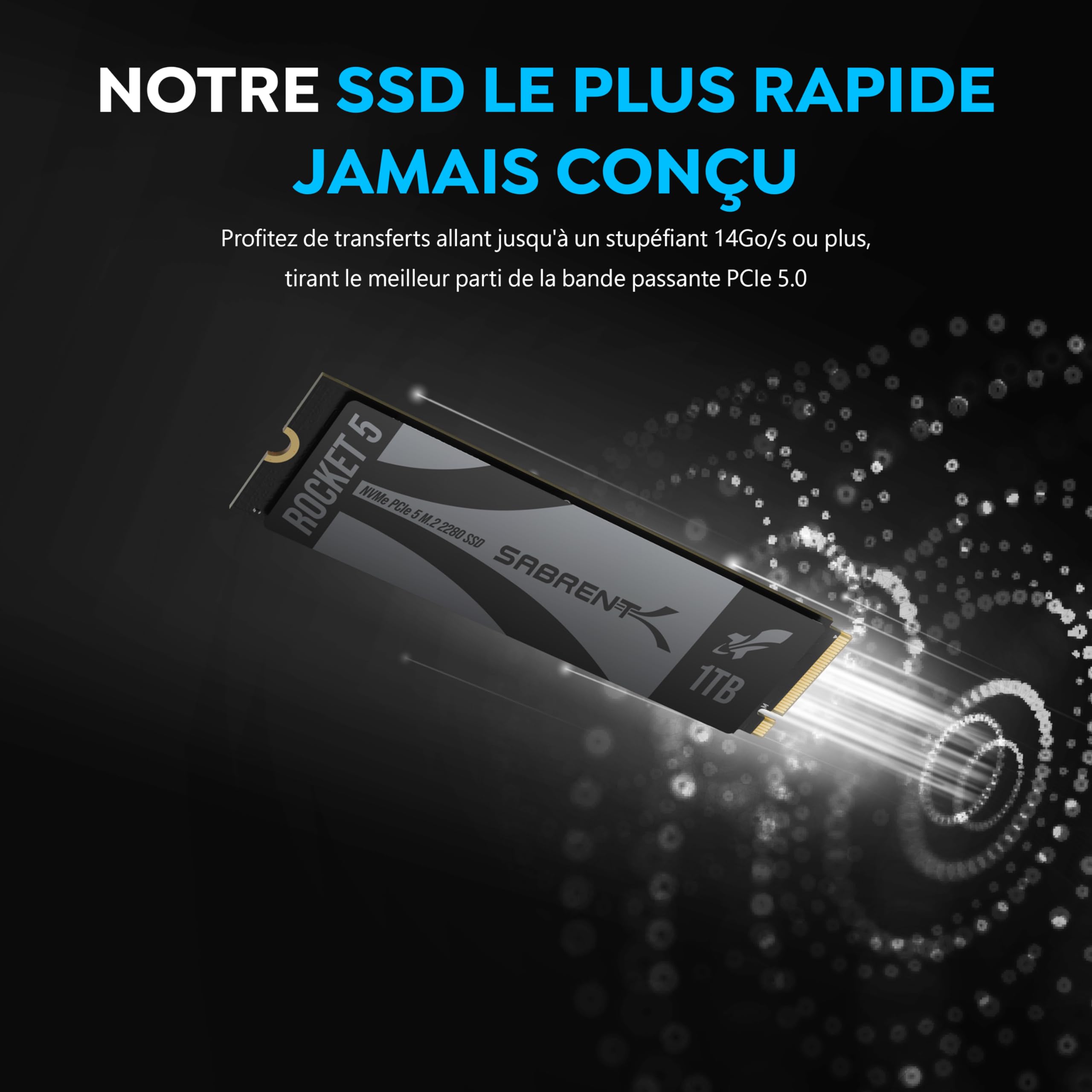SABRENT Rocket 5 Disque SSD Interne M.2 PCIe GEN 5 14 Go/s X4 NVMe SSD (SB-RKT5-1TB)