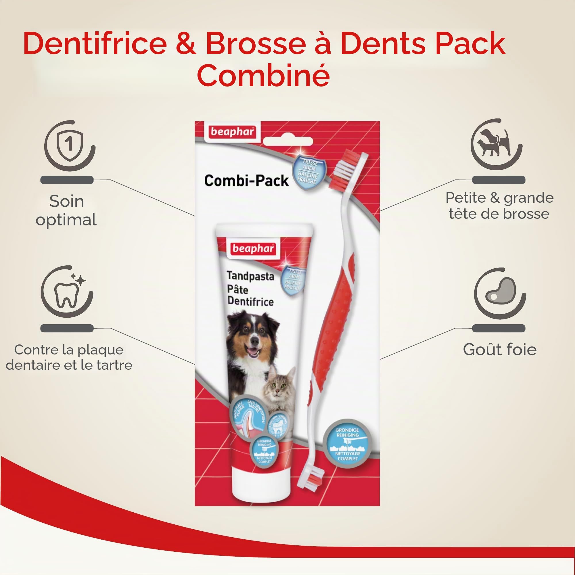 Beaphar Lot combiné de dentifrice et de brosse à dents | pour chiens et chats