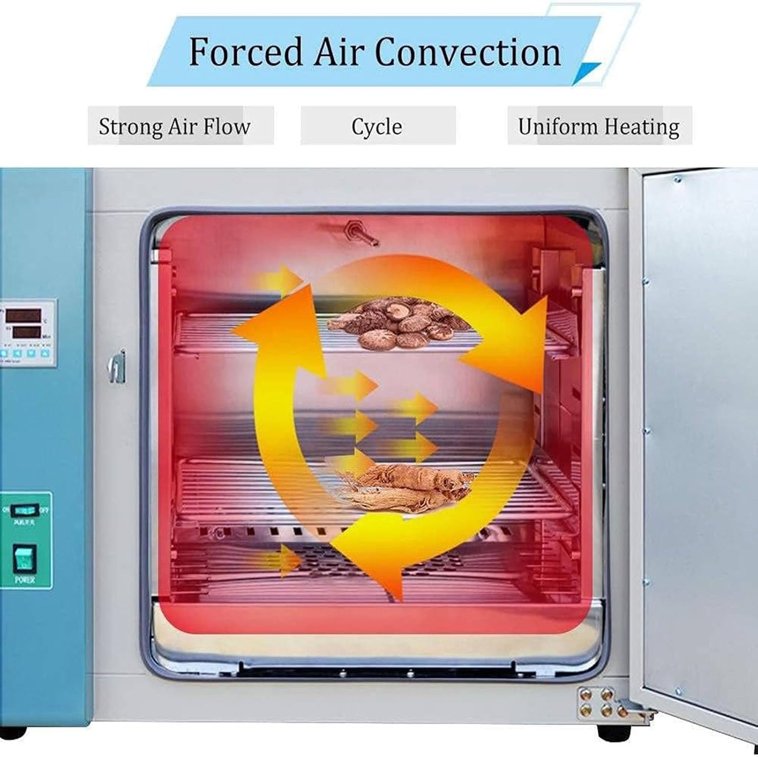 Lab Forced Air Convection Drying Oven,Constant Temperature Blast Drying Oven with Intelligent Digital Display Temperature Controller Temperature
