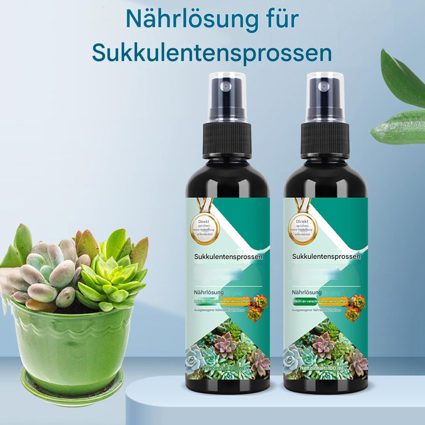 Kakteen Dünger - Sprossenstärker Spray Für Kakteen Und Sukkulenten | 100ml Langzeit-Sprühdünger Für Wachstum Und Vermehrung