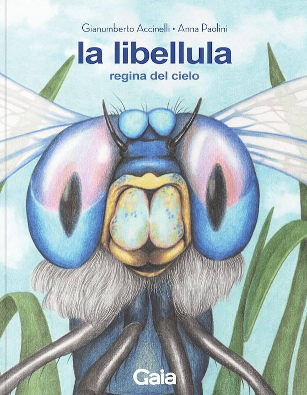 La Libellula. Regina Del Cielo. Ediz. A Colori - 4