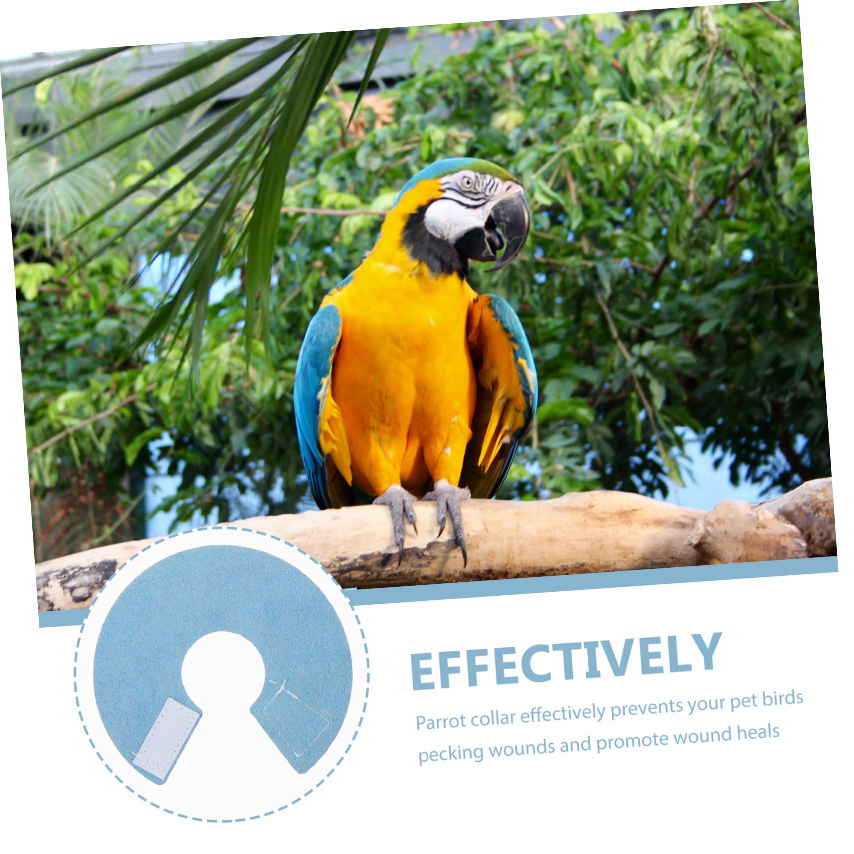 Collare Morbido Per Pappagalli - Accessorio Anti-morso Traspirante E Comfortevole - Foto 12
