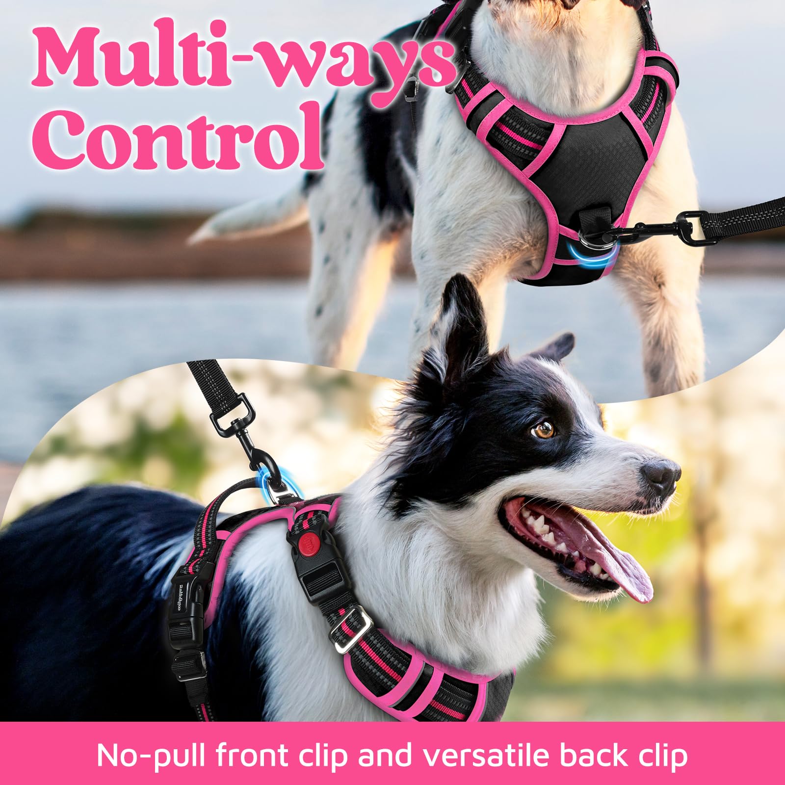 rabbitgoo Harnais pour chien de grande taille, anti-traction, 3 boucles, facile à mettre et à enlever | Rembourrage doux, poignée de contrôle, réglable et réfléchissant, noir et rose, taille XL
