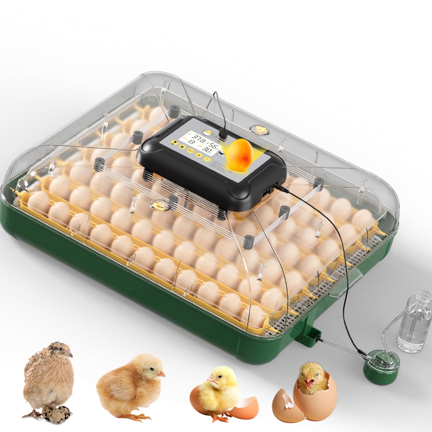 2026 Incubatrice per uova da cova con rotazione automatica delle uova, 63 incubatrice di pollo, Display di temperatura e umidità, giorno della schiusa, Candele per uova, Ricarica automatica dell'acqua