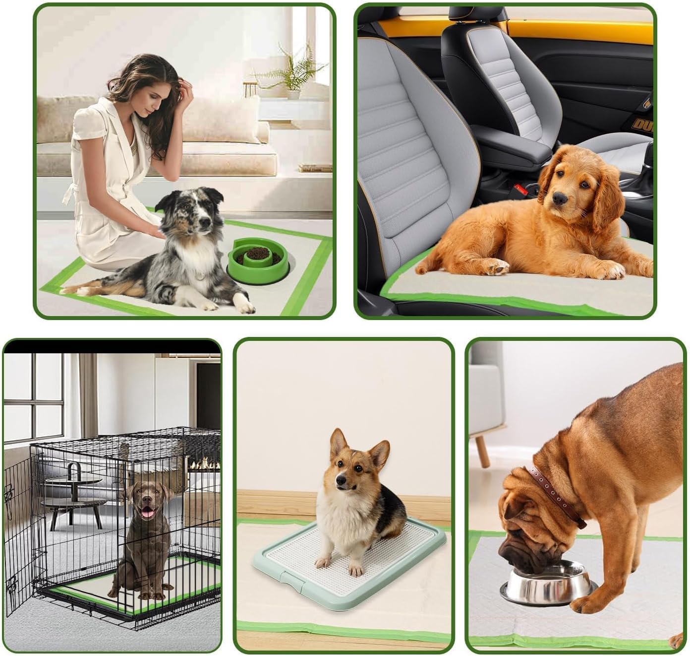 Gardner Pet Welpenunterlagen, 70x85cm, 30 Stück | Super Saugfähig, 6-lagig, Auslaufsicher, Schnelle Trocknung, Trainingspads für Hunde