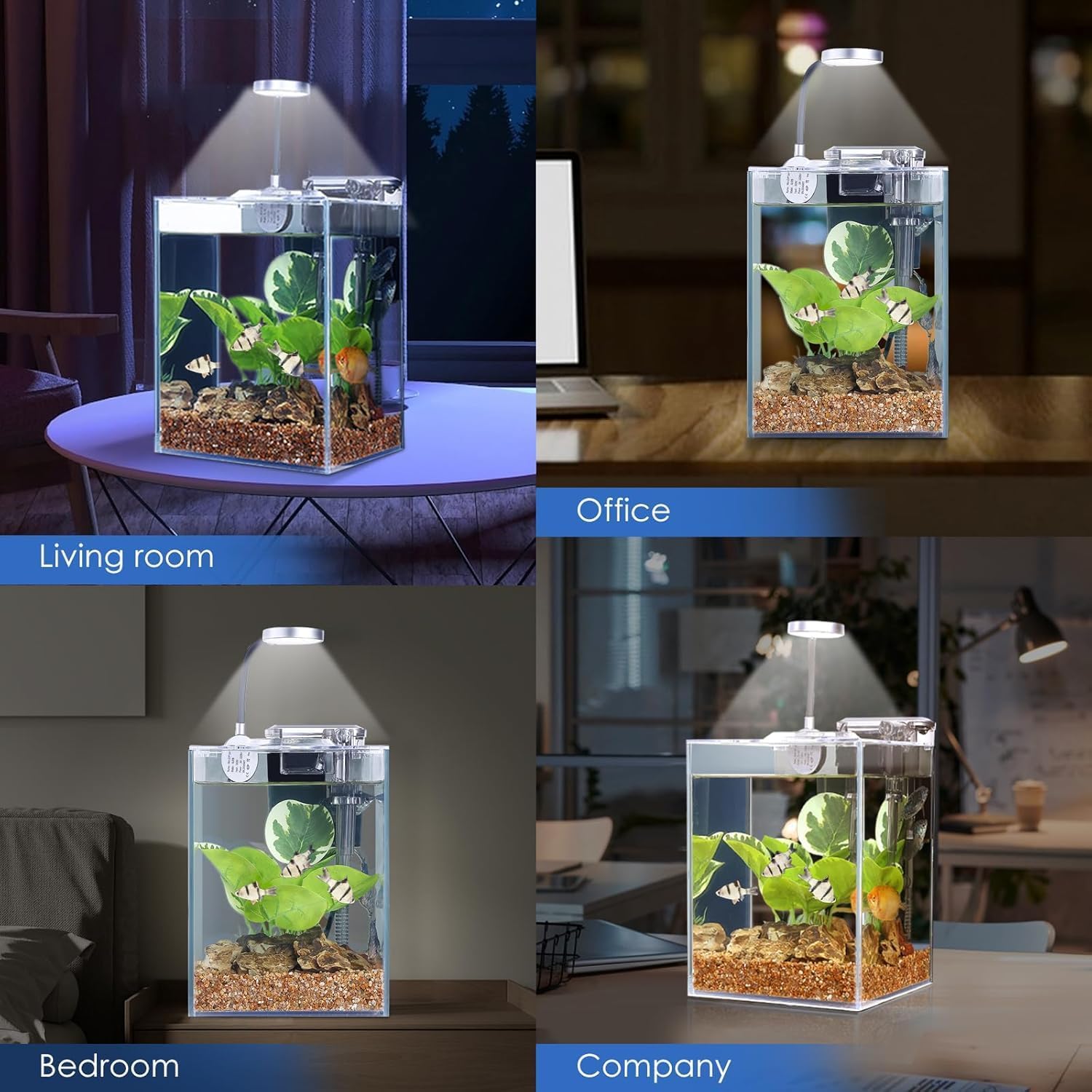 Desktop Glass Fish Tank 1.25 Gallons Small Aquarium Set, Self Cleaning Filter System Bright LED Light Gravel Plant Cleaning Tool, Betta Small Space Kit Easy Setup Space Saving Design