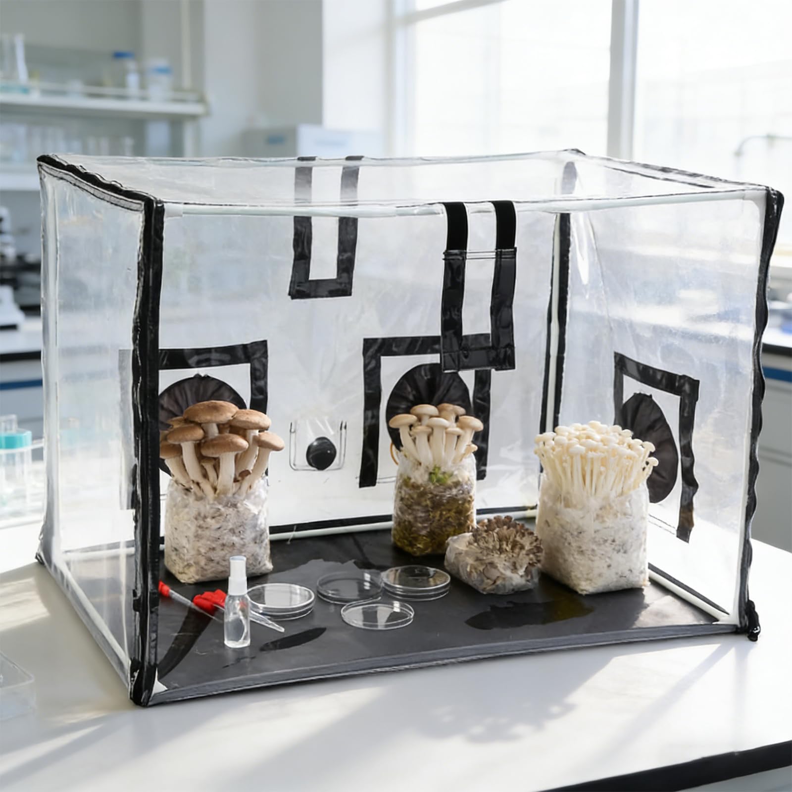 Générique Complet de Culture de Champignons avec Chambre à air Statique et Outil pour Une Culture Facile, débutants, Experts, d ' Observation de la Croissance des Champignons