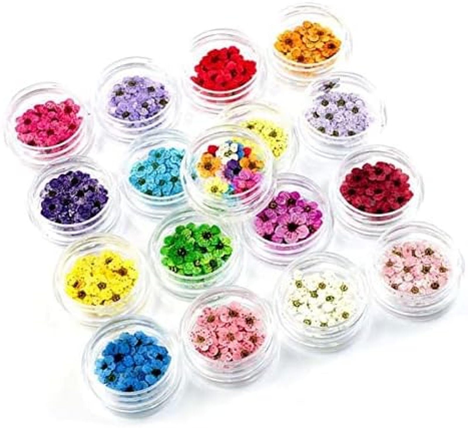 Fiori Pressati Secchi 100pcs Mini Narciso Essiccato Narciso Jonquilla Fiore Pianta Erbario per Gioielli in Resina Epossidica Segnalibro Cartolina Nailart DIY,L105,bonny369