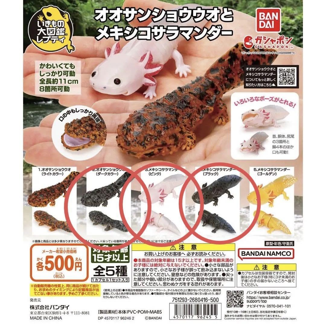 Amazon.co.jp: いきもの大図鑑レプティ オオサンショウウオと