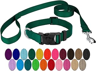 Country Brook Petz - Vibrant 25+ Color Selection - Deluxe Nylon Dog Collar and Leash (Large, 1 Inch Wide, Green)