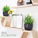 Der Rose 2 Pack Fake Plants Small Artificial Potted Plants Faux Plants Black Bathroom Accessories for Home Office Desk Bathroom Decor Indoor