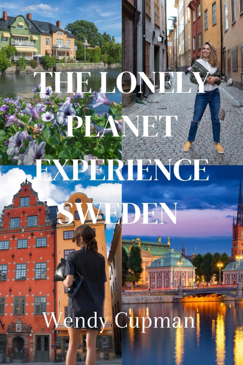 The lonely planet experience sweden: A rough pocket guide to explore Sweden