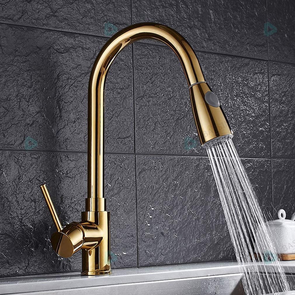 BASSINO Gold Kitchen Faucet with Pull Down Sprayer,Pro-Style Spring Sprayer SS 304 Pull-Down Kitchen Sink Faucet Tap (BTT-2066) (Gold Finish) (BTT-2066) (B0B6R8HQTN) Amazon Price History, Amazon Price Tracker