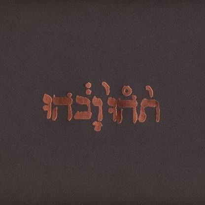Slow Riot for New Zero Kanada [Disco de Vinil] por Godspeed You! Black Emperor, capa do álbum