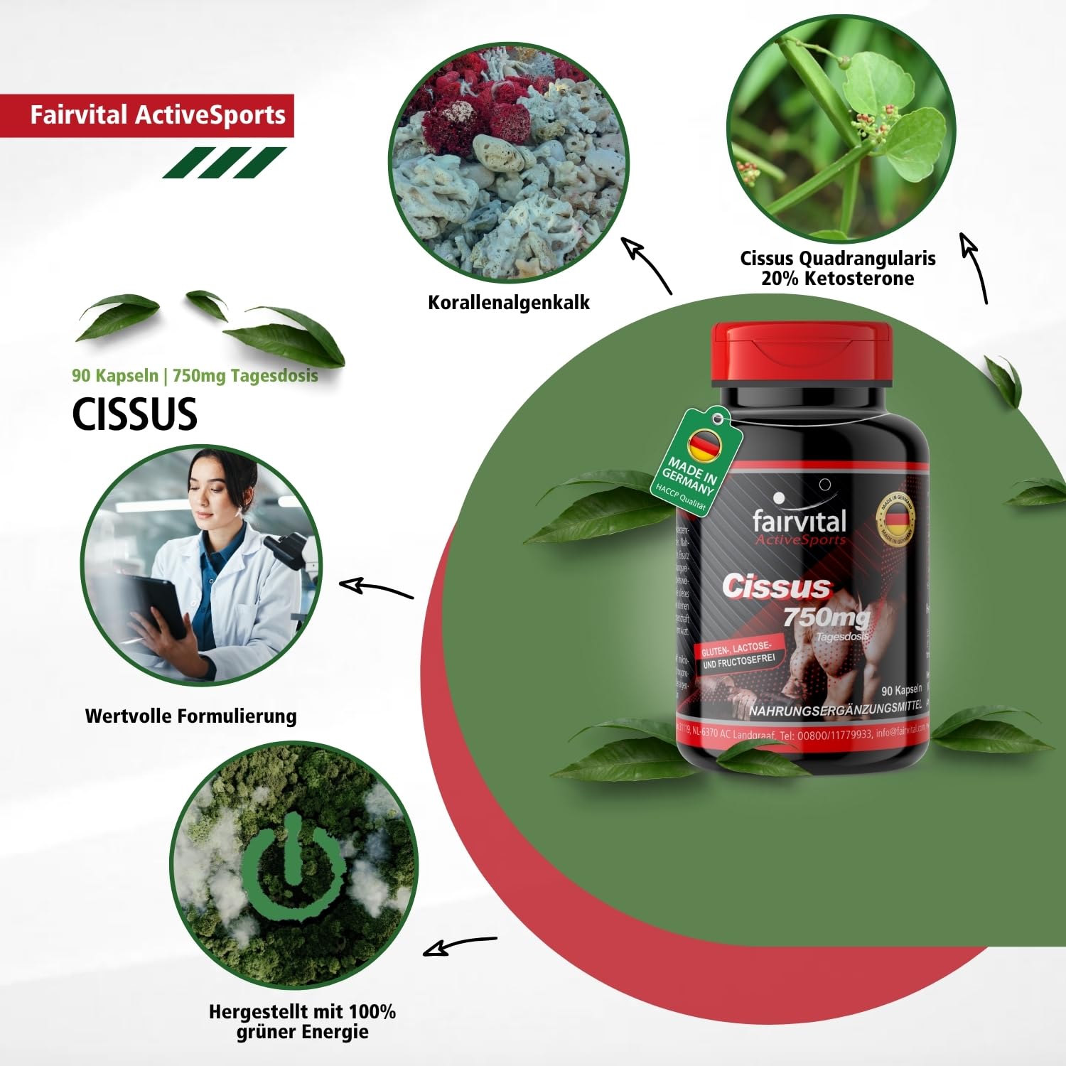 fairvital Cissus Kapseln, 90 Kapseln, 750mg pro Tag, Ketosterone + Calcium aus Rotalge, HOCHDOSIERT, VEGAN, Cissus Quadrangularis