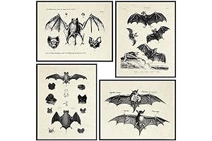 Bats Wall Decor - Vintage Retro Hipster Goth Art, Home or Room Decoration