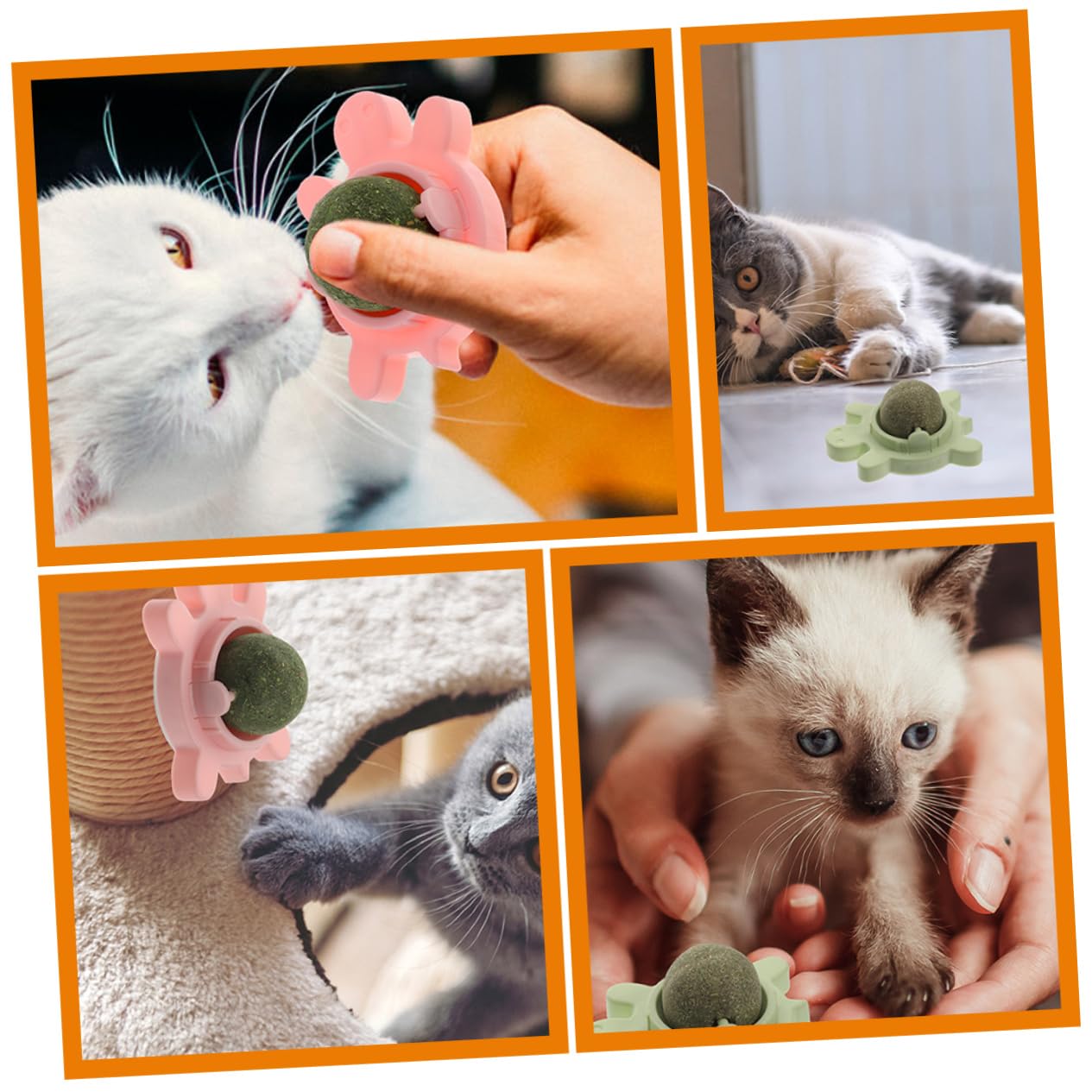 BESPORTBLE 4 Pièces Boules d'herbe à Chat Interactive Cat Toy Jouets interactifs pour Chat Jouets Chaton Boules de Dents de Chat pour Chat Boule à lécher pour Chat Jouets pour Chats PVC
