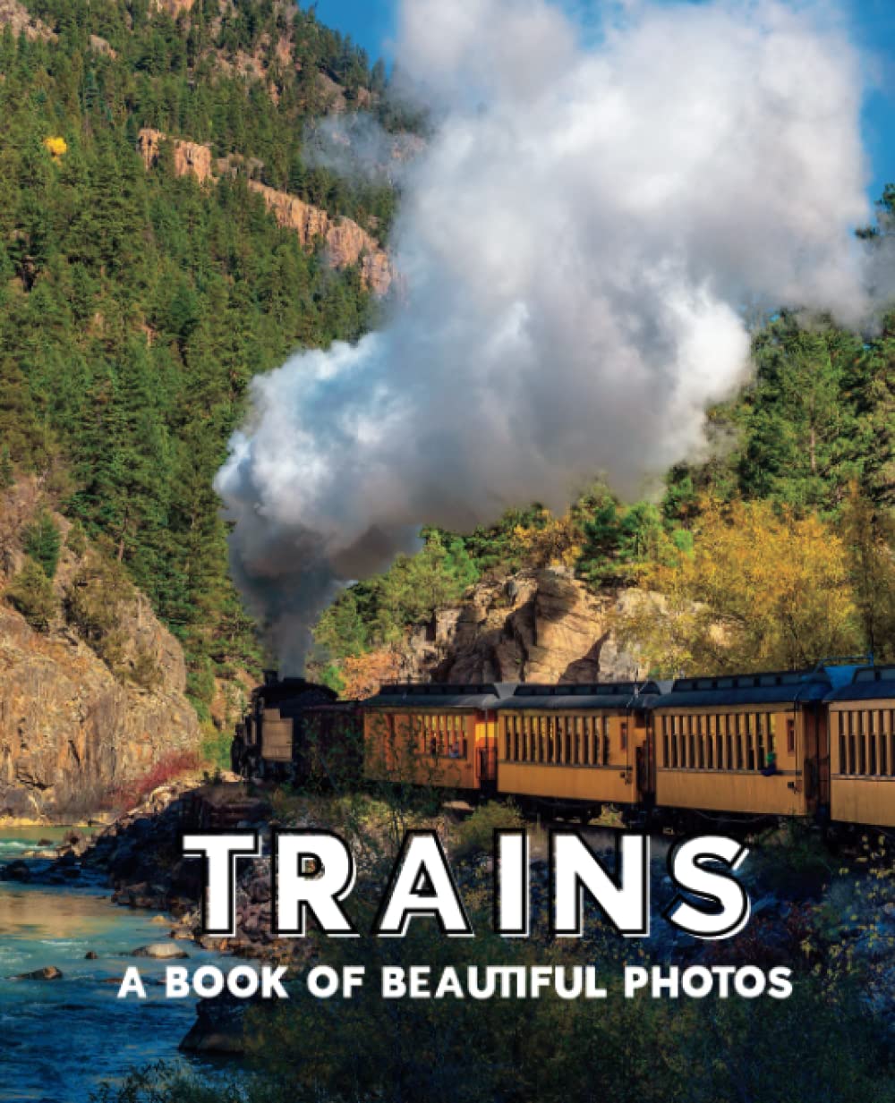 Train Photography: A Picture Book for Seniors with Alzheimer's and Dementia: From Vintage Steam to Modern Diesel Locomotives