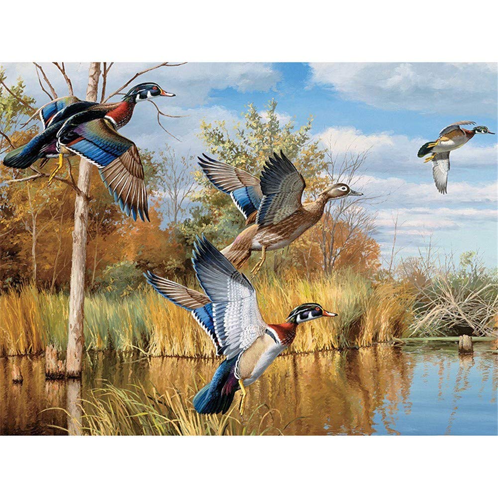 Kit Peinture Diamant Complète Oiseaux Cadeau Créatif Idéal pour Déco Salon et Chambre