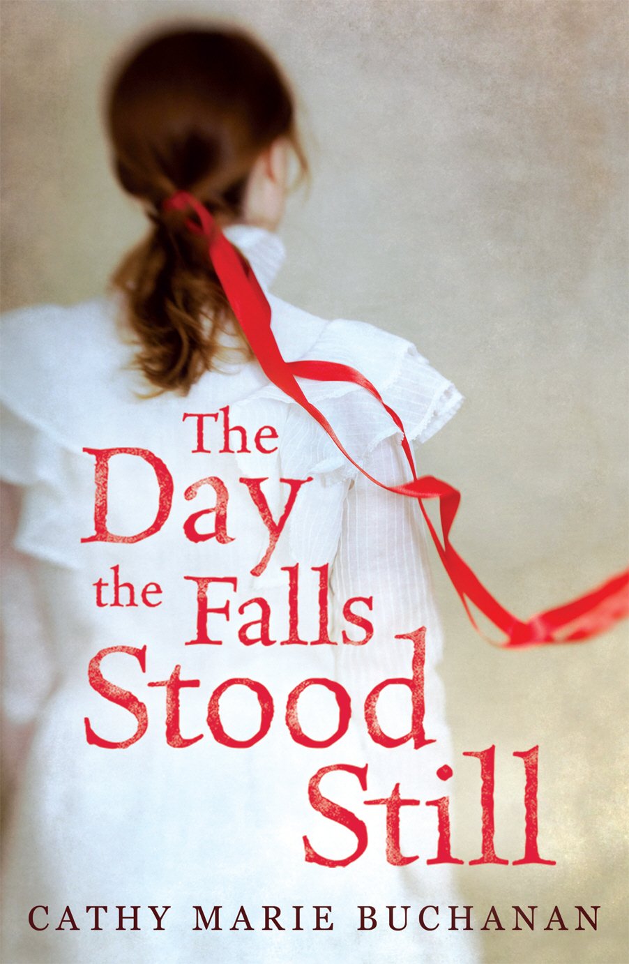 Buy The Day the Falls Stood Still — BookShops.in