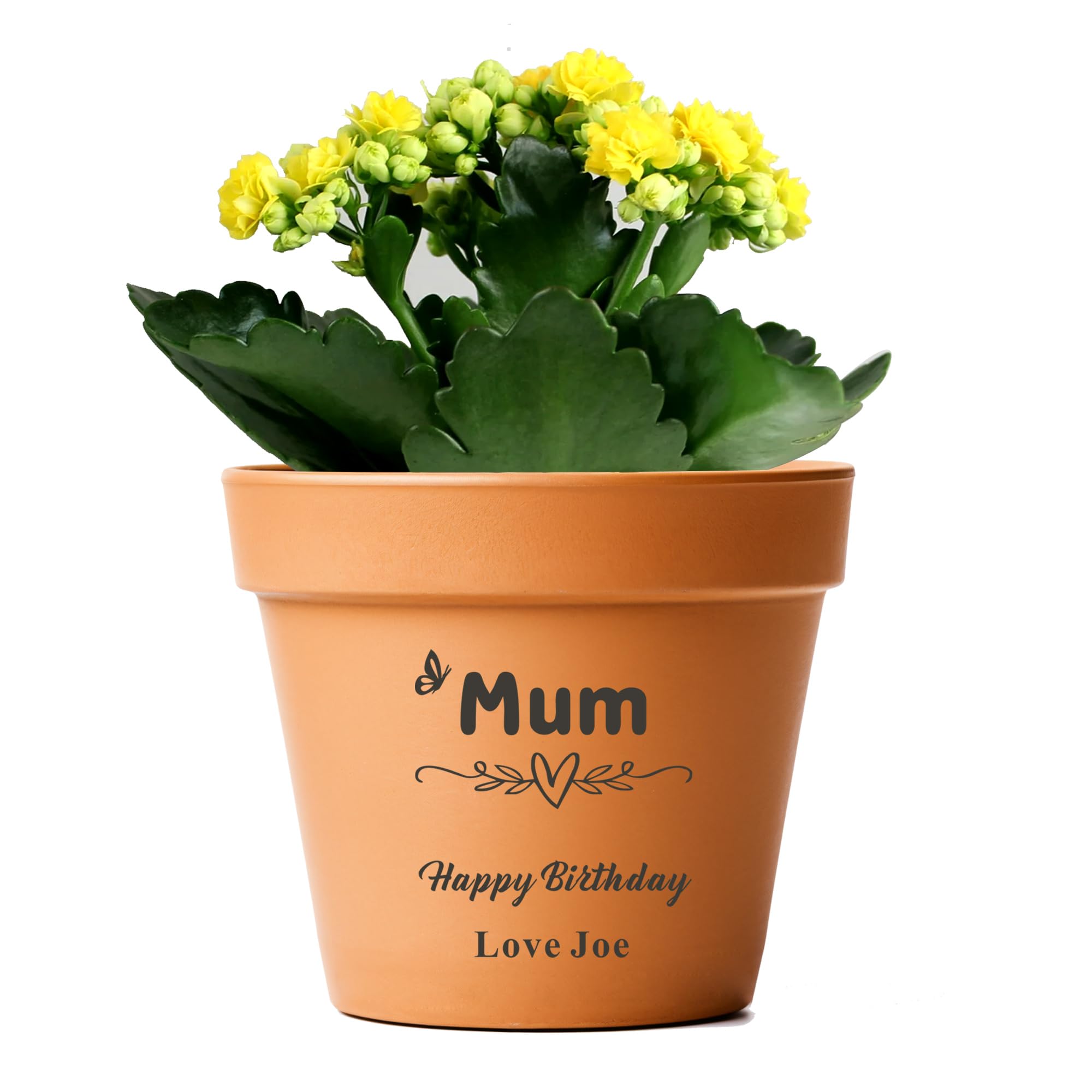 EDSG Personalised Terracotta Plant Pots Clay Flower Plant Pots Planters with Drainage 7 In Hole Succulent Pots Anniversary Birthday Wedding Gifts for Mum Women House Home Garden Decor(Design 2)