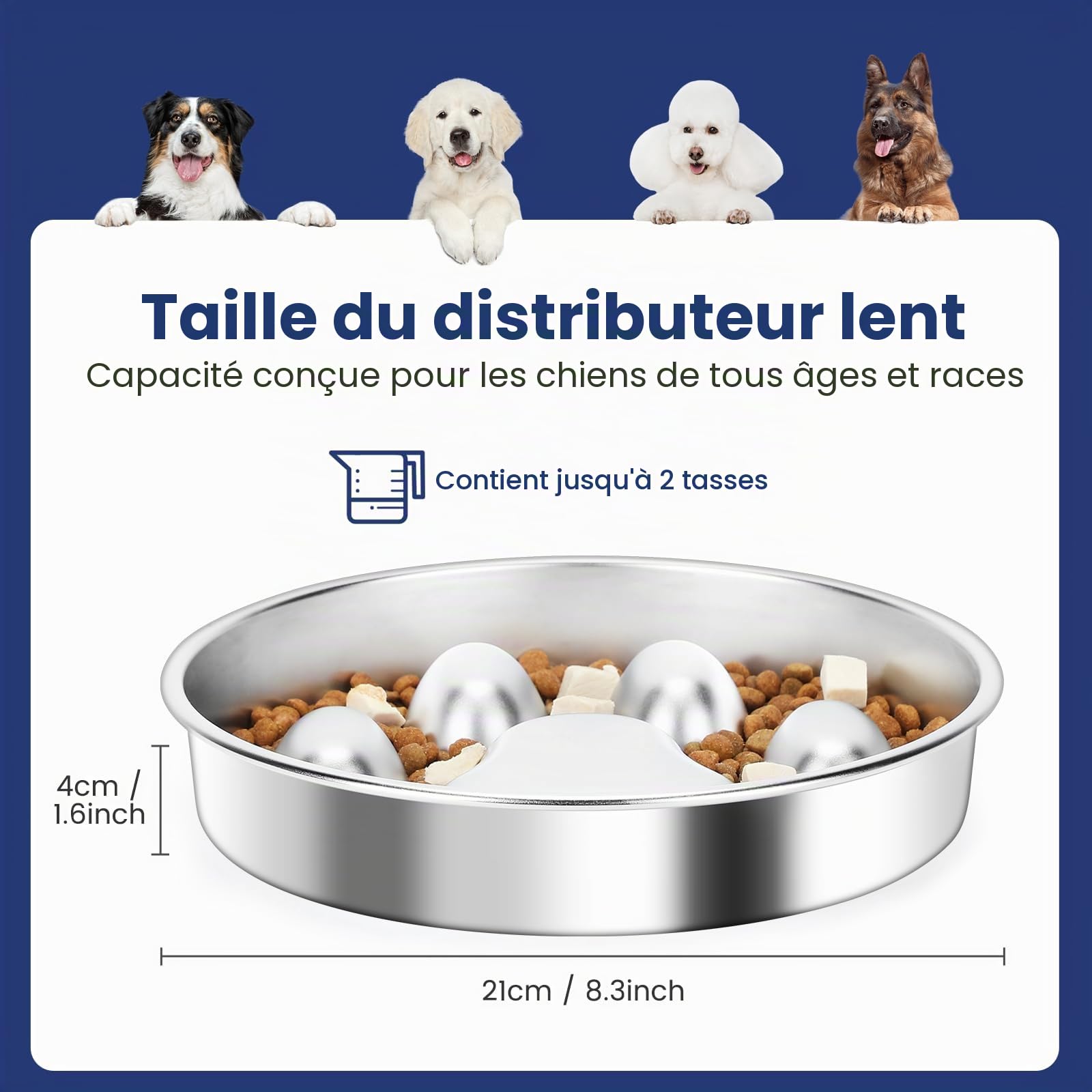 PETTOM Gamelle Anti Glouton Chien INOX, Rond, Diamètre 21cm | Acier Inoxydable, 2 Tasses, Double Face, Compatible Croquettes et Pâtée, Passe au Lave-Vaisselle
