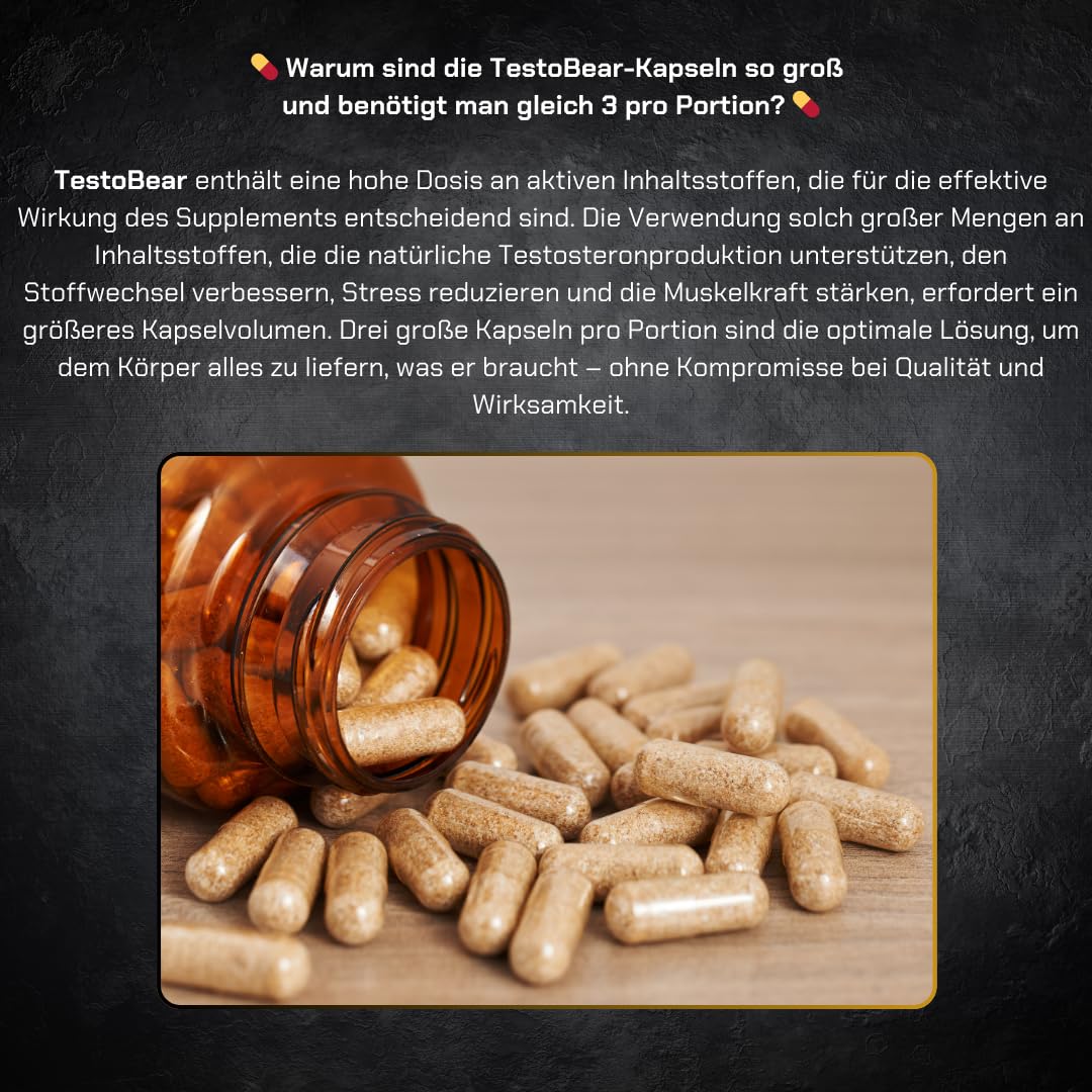 Testosteron Booster für Männer - TestoBear 90 vegane Kapseln | Erhöht Testosteron, Libido, Kraft, Muskelmasse und stärkt die Erektion | Umweltfreundlich – Glasflasche mit Metallve