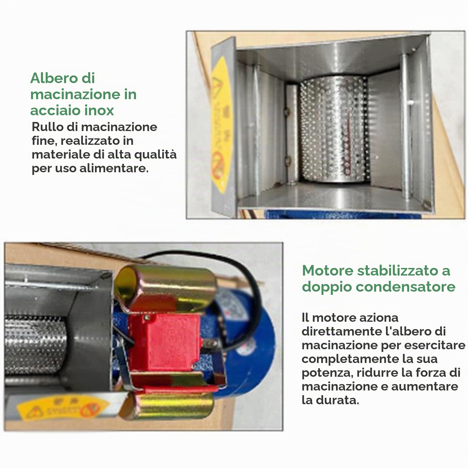 Schiacciapatate elettrico professionale, schiacciapatate in acciaio inox da 750 W, albero e ingranaggio per macinatura di precisione, efficienza produttiva 20-30 kg/ora, per aglio, pomodori