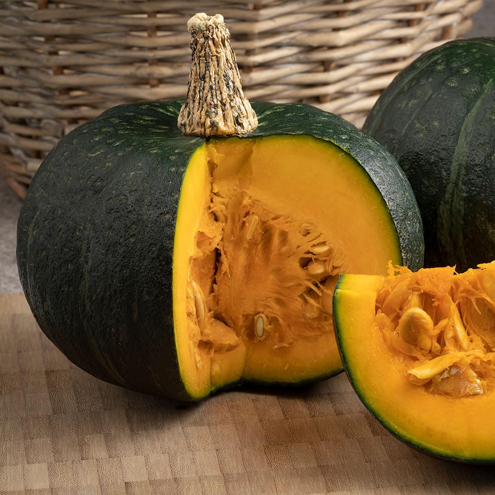 Squash Winter Honey Bear F1 Seeds β Powdery Mildew Resistant, Mini Squash β RHS Award of Garden Merit β for Your Beautiful Kitchen Garden