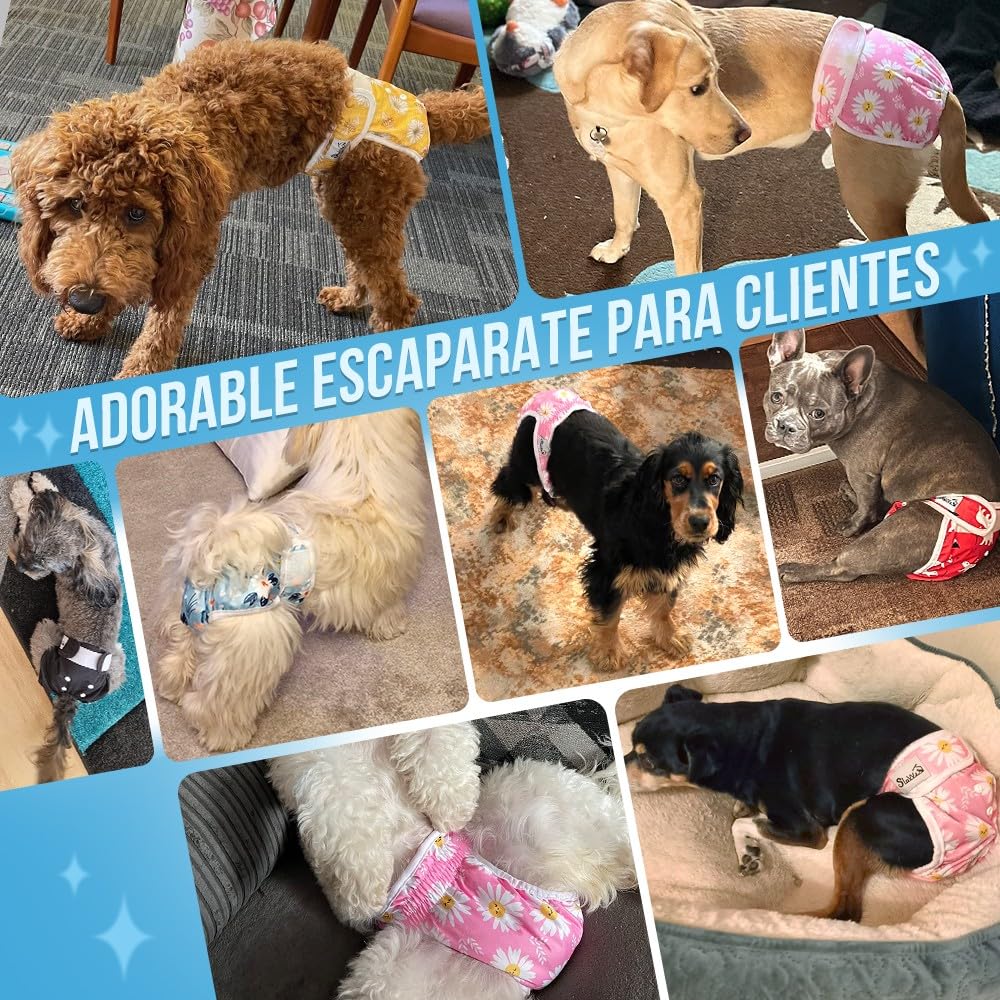 SlowTon Lava pañales para Perros, 3r Pack Pantalones para Perros fáciles de Quitar con Botones Ajustables, pañales para Perras Reutilizables Durante El Calor, inmersión emocionante