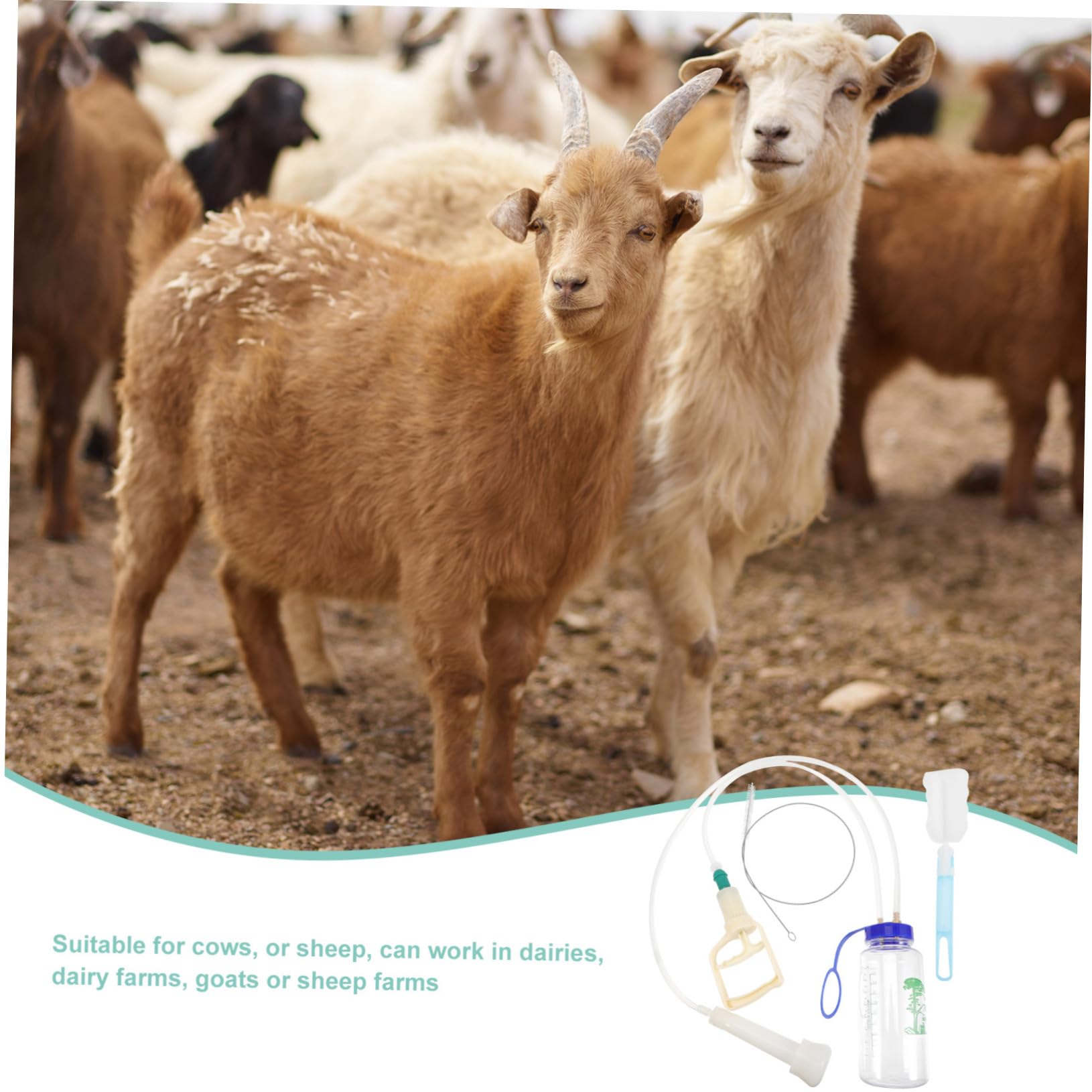 Mikikit Macchina la Mungitura Manuale per Capre e Pecore in Plastica, Facile da Trasportare Set Accessori Spazzola Pulizia e Bottiglia, per Allevamenti Ovini